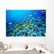 Hawaii, Schooling Raccoon Butterflyfish In Bright Blue Ocean C1960 Wall Mural
