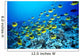 Hawaii, Schooling Raccoon Butterflyfish In Bright Blue Ocean C1960 Wall Mural