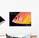 Hawaii, Close-Up Side View Of Long-Jawed Squirrelfish C1923 Wall Mural