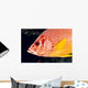 Hawaii, Close-Up Side View Of Long-Jawed Squirrelfish C1923 Wall Mural