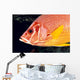 Hawaii, Close-Up Side View Of Long-Jawed Squirrelfish C1923 Wall Mural