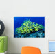 Hawaii, Schooling Bluestripe Snapper Coral Reef C1929 Wall Mural