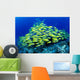 Hawaii, Schooling Bluestripe Snapper Coral Reef C1929 Wall Mural