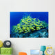 Hawaii, Schooling Bluestripe Snapper Coral Reef C1929 Wall Mural