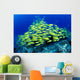 Hawaii, Schooling Bluestripe Snapper Coral Reef C1929 Wall Mural