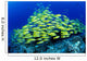 Hawaii, Schooling Bluestripe Snapper Coral Reef C1929 Wall Mural