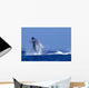 Hawaii, Maui, Humpback Whale Breaching C2024 Wall Mural