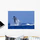 Hawaii, Maui, Humpback Whale Breaching C2024 Wall Mural