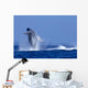 Hawaii, Maui, Humpback Whale Breaching C2024 Wall Mural