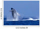 Hawaii, Maui, Humpback Whale Breaching C2024 Wall Mural