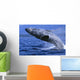 Alaska, Inside Passage, Humpback Whale, Full Breach Close-Up, C2037 Wall Mural