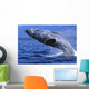 Alaska, Inside Passage, Humpback Whale, Full Breach Close-Up, C2037 Wall Mural