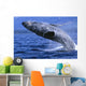Alaska, Inside Passage, Humpback Whale, Full Breach Close-Up, C2037 Wall Mural