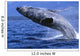 Alaska, Inside Passage, Humpback Whale, Full Breach Close-Up, C2037 Wall Mural