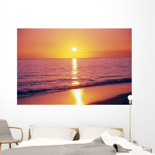 Orange Pink Sunset Sky With Sun Ball, Reflection Wall Mural