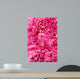 Peony Flower Heads Wall Mural