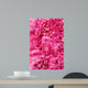 Peony flower heads - background Wall Mural