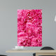 Peony flower heads - background Wall Mural