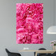 Peony flower heads - background Wall Mural