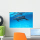 Reflections C1985 Wall Mural