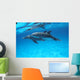 Reflections C1985 Wall Mural