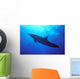 Hawaii, Spinner Dolphin Near Surface, Reflections C1986 Wall Mural