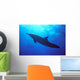 Hawaii, Spinner Dolphin Near Surface, Reflections C1986 Wall Mural