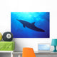 Hawaii, Spinner Dolphin Near Surface, Reflections C1986 Wall Mural