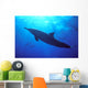 Hawaii, Spinner Dolphin Near Surface, Reflections C1986 Wall Mural