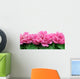 Peony Wall Decal
