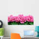Peony Wall Decal