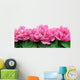 Peony Wall Decal