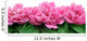 Peony Wall Decal