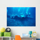 Hawaii, Oahu, Airplane Wreck Off Waianae Coast, Divers Wall Mural