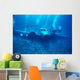 Hawaii, Oahu, Airplane Wreck Off Waianae Coast, Divers Wall Mural