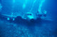 Hawaii, Oahu, Airplane Wreck Off Waianae Coast, Divers Wall Mural
