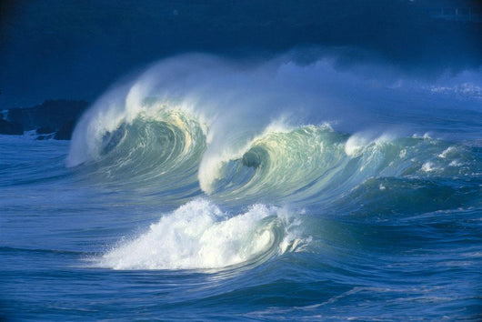 Big Stormy Waves With White Caps Curling, Waimea Shore Break C1690 Wall Mural