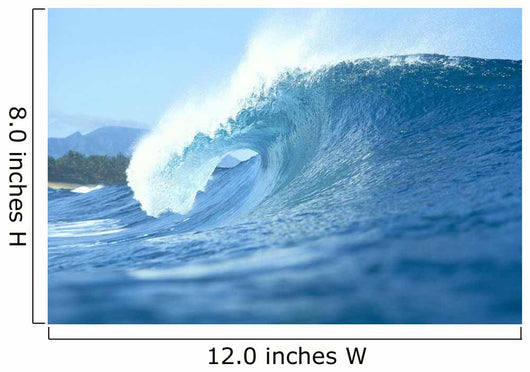 Side View Of Large Wave With Curl Wall Mural