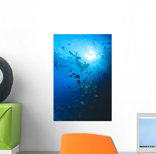 Woman Snorkeling With Reef Fish, Sunburst Through Surface Wall Mural