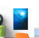 Woman Snorkeling With Reef Fish, Sunburst Through Surface Wall Mural