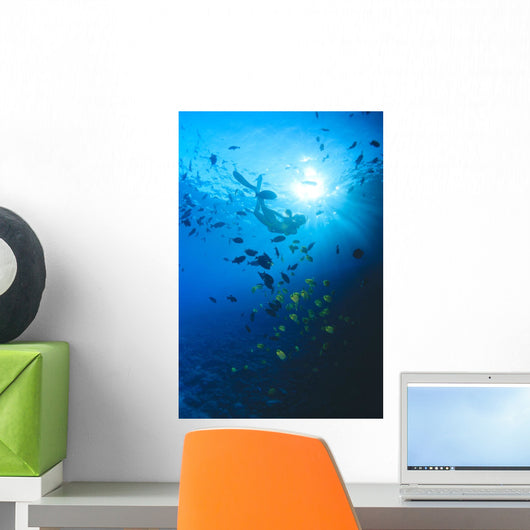 Woman Snorkeling With Reef Fish, Sunburst Through Surface Wall Mural
