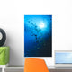 Woman Snorkeling With Reef Fish, Sunburst Through Surface Wall Mural