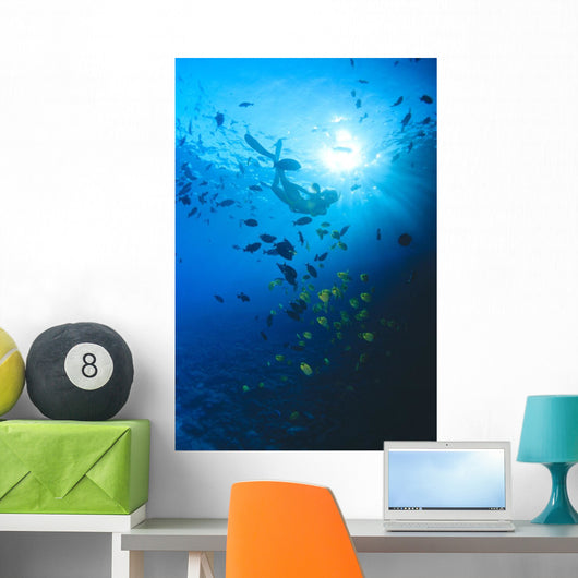 Woman Snorkeling With Reef Fish, Sunburst Through Surface Wall Mural