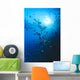 Woman Snorkeling With Reef Fish, Sunburst Through Surface Wall Mural
