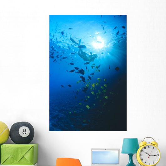 Woman Snorkeling With Reef Fish, Sunburst Through Surface Wall Mural