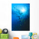Woman Snorkeling With Reef Fish, Sunburst Through Surface Wall Mural