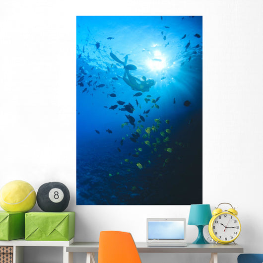 Woman Snorkeling With Reef Fish, Sunburst Through Surface Wall Mural