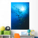 Woman Snorkeling With Reef Fish, Sunburst Through Surface Wall Mural