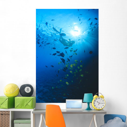 Woman Snorkeling With Reef Fish, Sunburst Through Surface Wall Mural