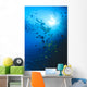 Woman Snorkeling With Reef Fish, Sunburst Through Surface Wall Mural